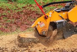 Best Lawn Drainage Solutions  in Voorheesville, NY