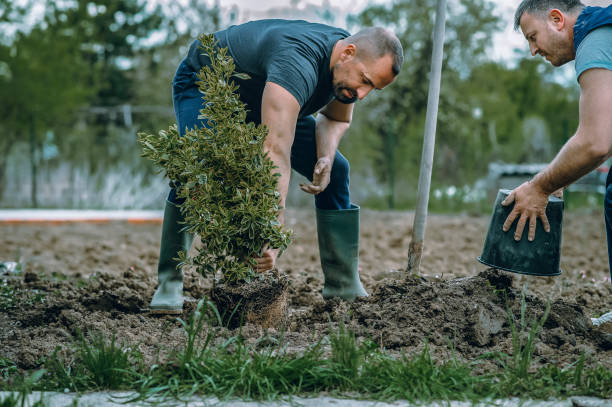 Best Seasonal Cleanup (Spring/Fall)  in Voorheesville, NY